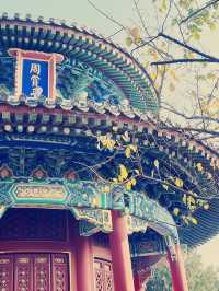 北京絶景スポット】景山公園で紫禁城を一望！絶対に行くべき観光ガイド​