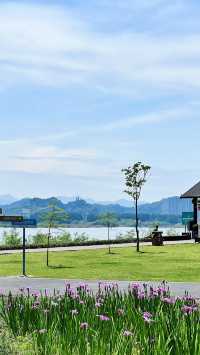 《青山湖避坑指南：這些注意事項要記牢》