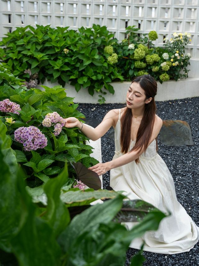 藏喺莫干山嘅咖啡秘境｜花巷民宿，浸喺拿鐵色嘅夏天裡