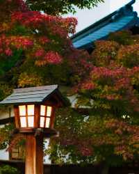 日本白馬村5天紅葉溫泉攻略