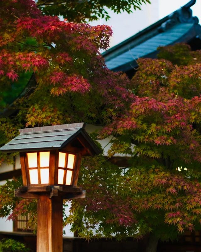 日本白馬村5天紅葉溫泉攻略