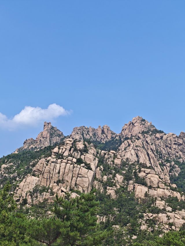 山海道韻，茶香沁心——青島嶗山深度遊玩全攻略