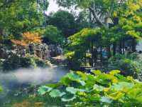 去咗4次留園，終於玩到明！