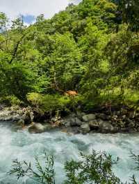 喇叭河｜濾鏡碎咗一地，綠野滿分，童話零分||
