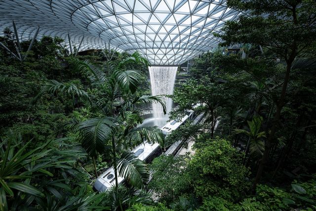 Free Sentosa Island Tour Exclusive for Changi Airport Transit