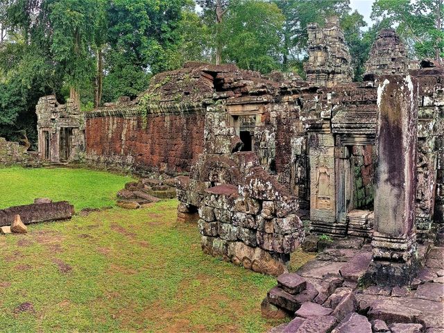 TA NEI Temple: Angkor’s Wild Soul