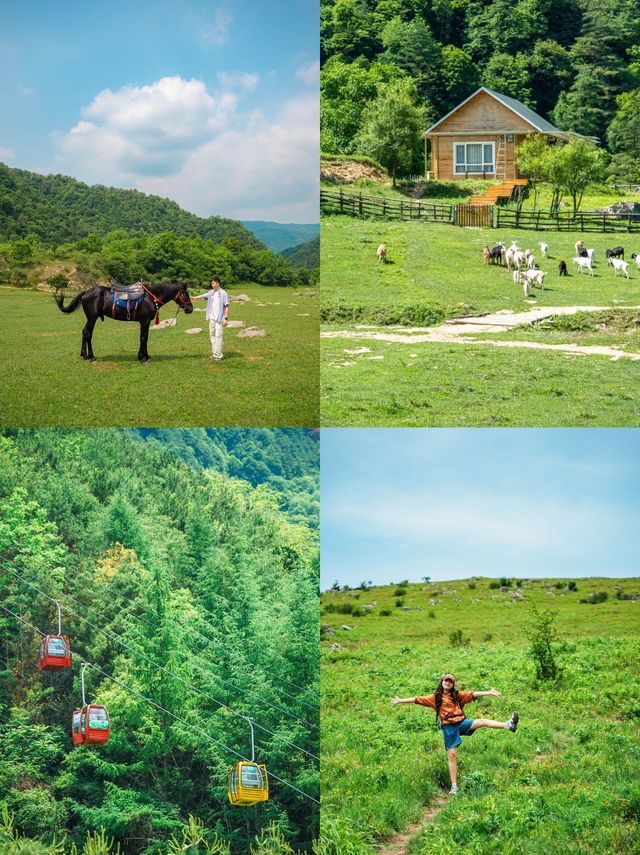 來留霸住我屋企大露台山景房，今個禮拜有房
