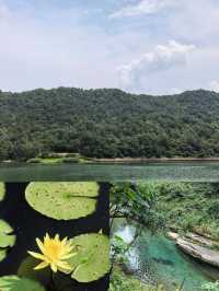 【長沙人私藏！呢條行山路線全程樹蔭+水庫遮太陽