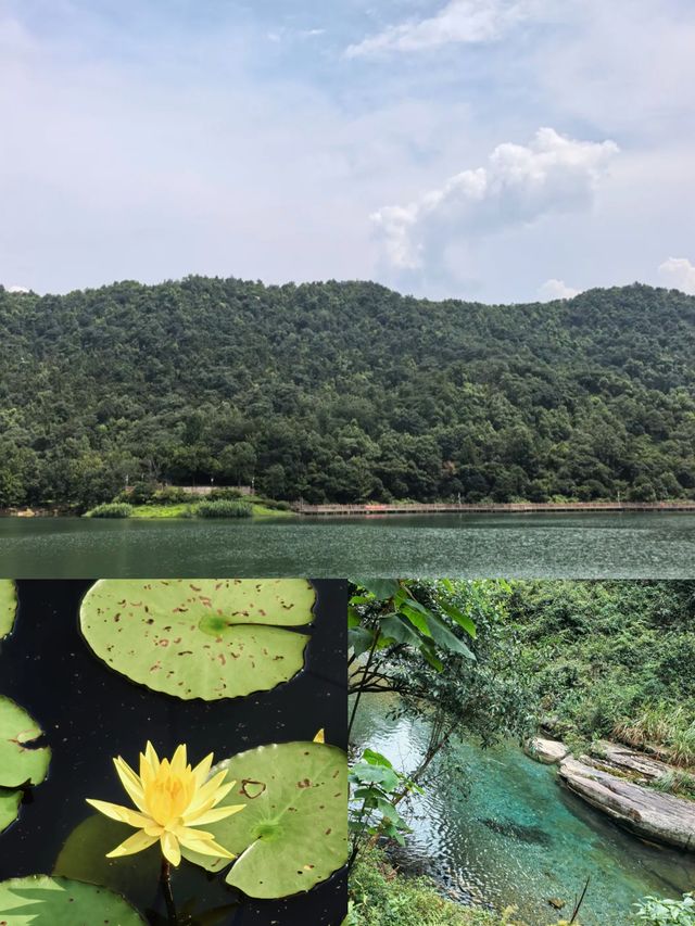 【長沙人私藏！呢條行山路線全程樹蔭+水庫遮太陽