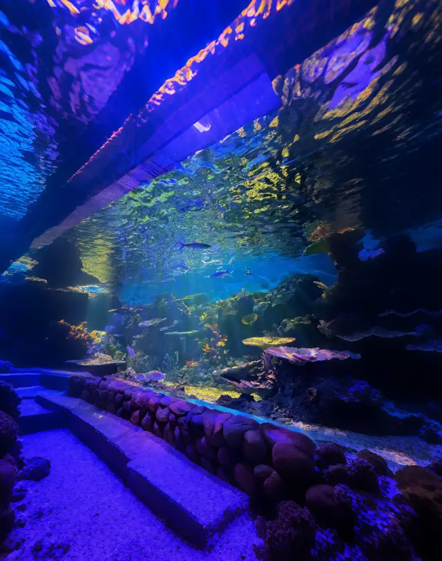 Summer Water Fun at Its Best! Must-Visit Guide for Families/Couples/BFFs! 