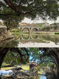 魅力漳州，協和美景，值得一去探索