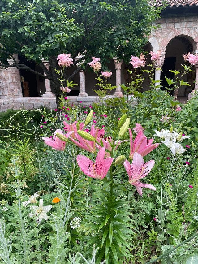 Smooth Visit to the Cloisters