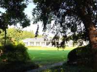 虹迎大草坪