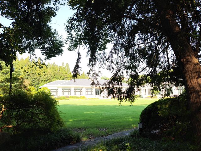 虹迎大草坪