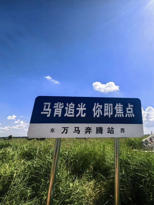 蒼茫原野，牧歌悠悠 —— 中都原始草原度假村景區