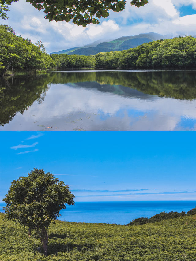 來北海道,一定要來一趟有森林和溫泉的道東 來北海道,一定要來一趟有森林和溫泉的道東