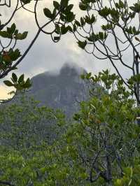 Wonderful Resort Experience With Excellent Amenities and Service