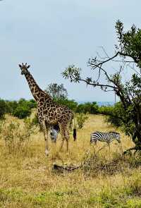 Unforgettable Tanzanian Journey