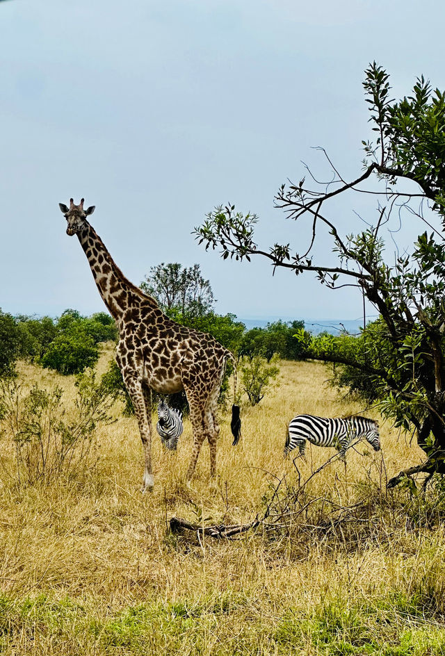 Unforgettable Tanzanian Journey