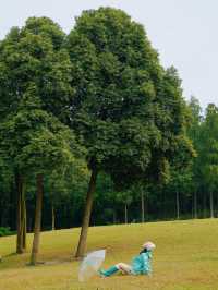 在成都！！唯一想去無數次的森林公園！！！