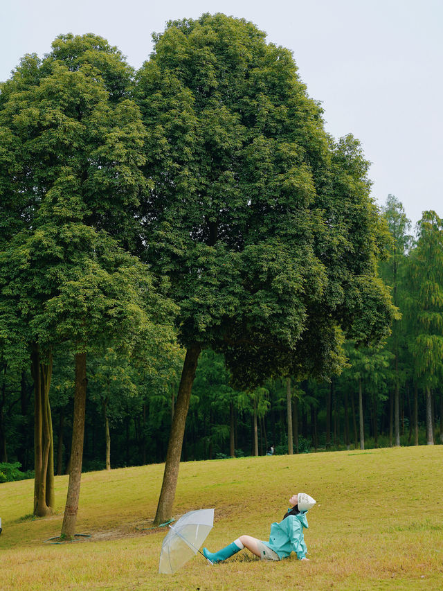 在成都！！唯一想去無數次的森林公園！！！