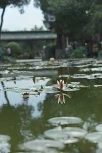 昆明大觀公園｜闖入油畫世界的神仙秘境