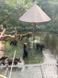 西麗動物園超詳細攻略