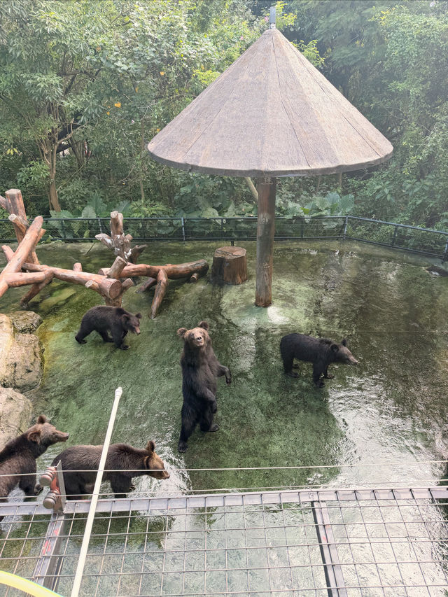 西麗動物園超詳細攻略