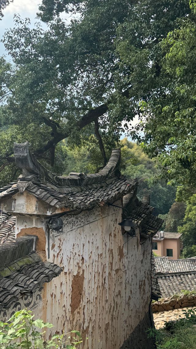 有風的地方同款小院