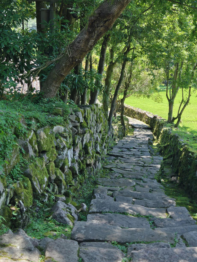 世遺湖北咸豐唐崖土司城遺址～見證鄂西土司文明的軍事政治中心