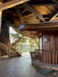 武漢新地標開元森泊度假樂園開建！親子遊yyds
