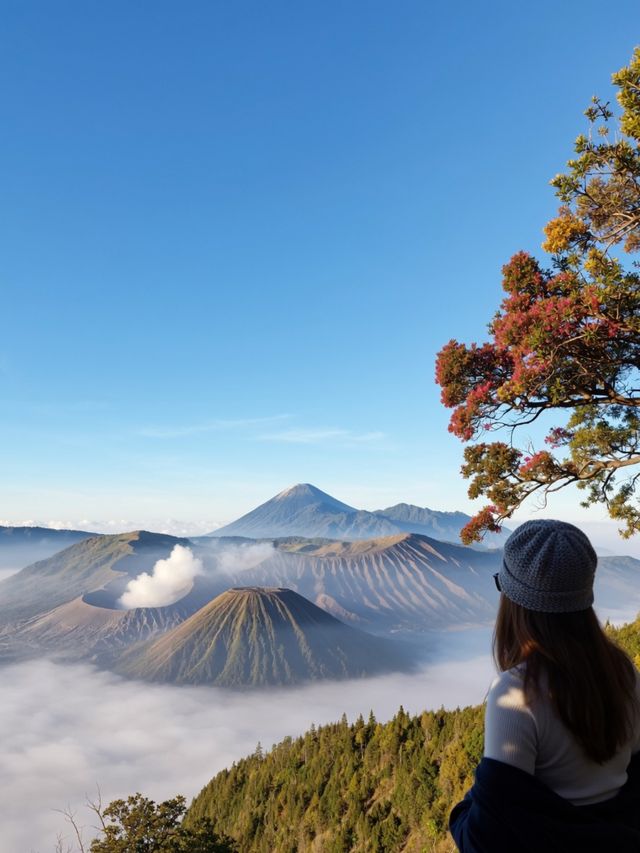 陽朔相公山絕美日出雲海攻略｜隨手拍都是大片！