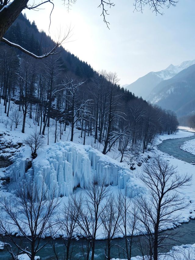 雪後嵩山美到窒息！冬日仙境打卡全攻略