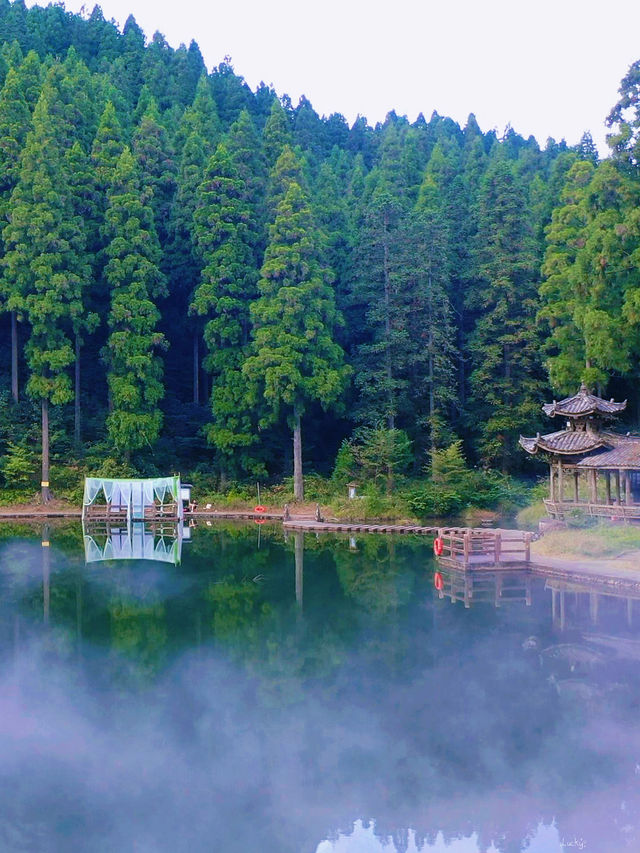 溫州秘境文成銅鈴山雲霧裹著森林氛圍感