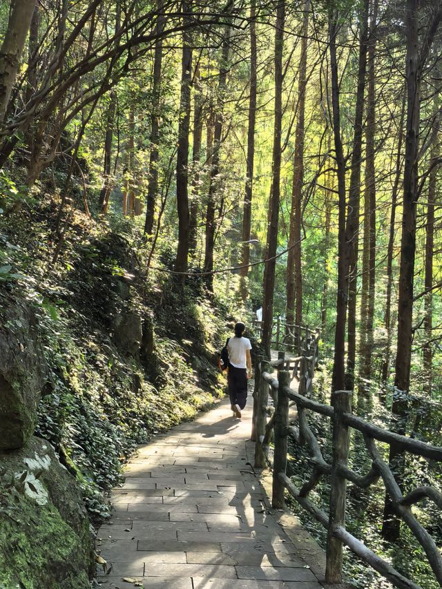 神仙居徒步記