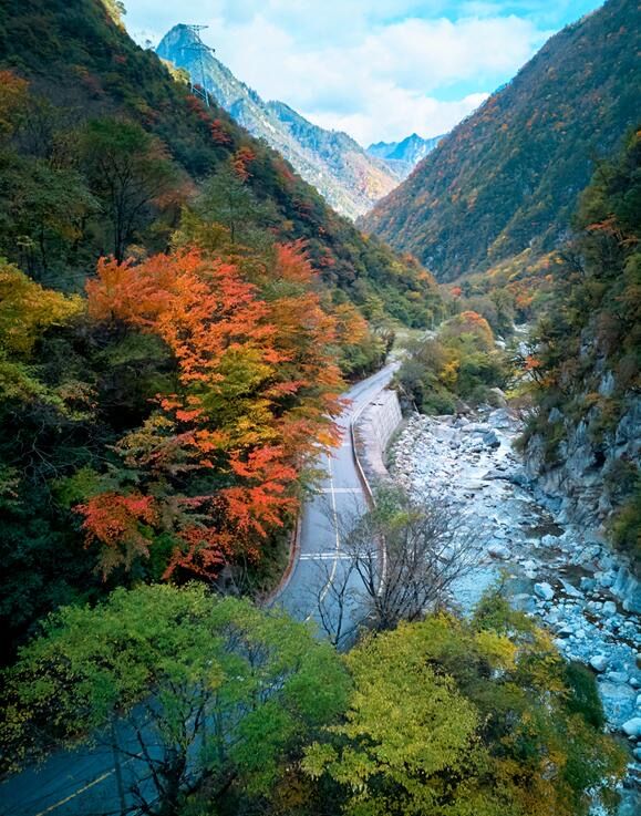綿陽平武紅葉瘋了!7個神仙地附精準觀賞時間 綿陽平武紅葉瘋了!7個神仙地附精準觀賞時間
