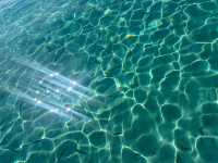 Enchanting Island Adventure with Kevin