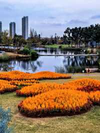 空中步廊俯瞰花草描繪的彩色大地。