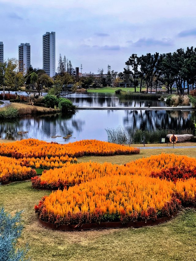 空中步廊俯瞰花草描繪的彩色大地。