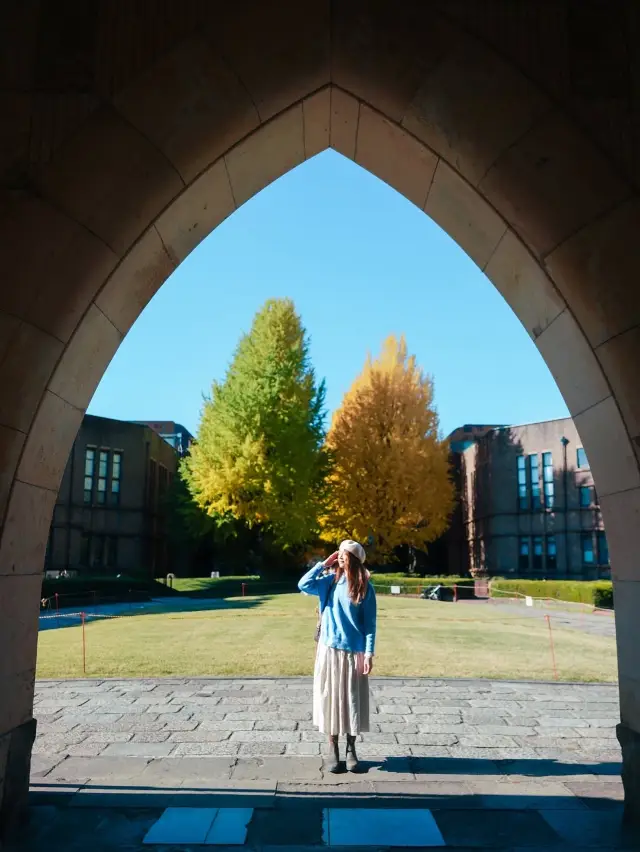Tokyo University Golden Ginkgo Travel Photo Diary: Top Photo Spots Revealed!
