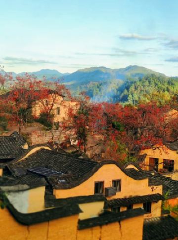 평남은 마치 예술의 보물터에 들어선 듯한 느낌입니다