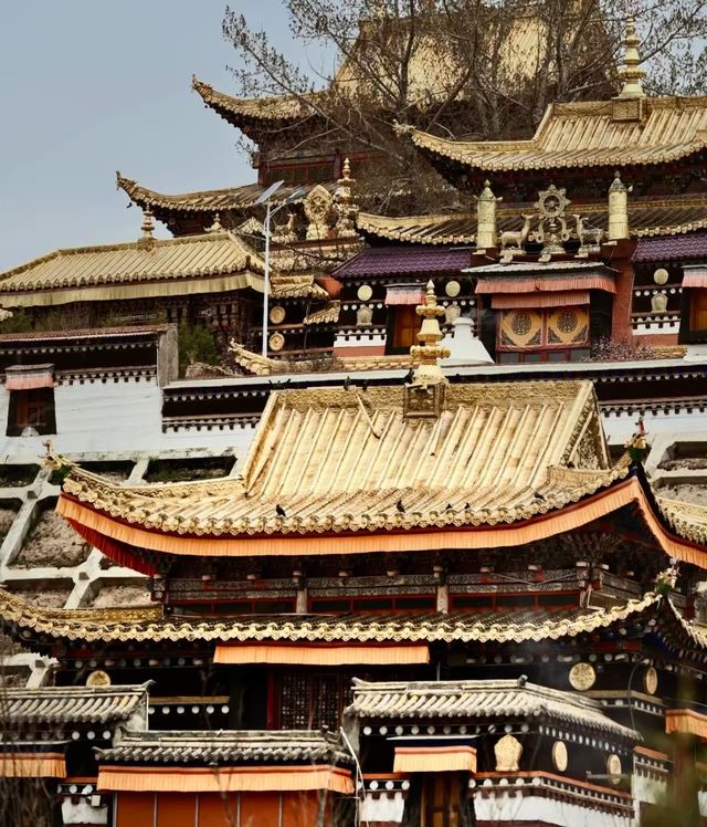 秋天甘南等地美到失語的神仙地方