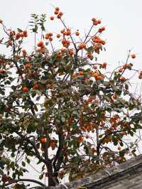 曲阜CityWalk | 走進孔子一生，感受千年儒學風韻