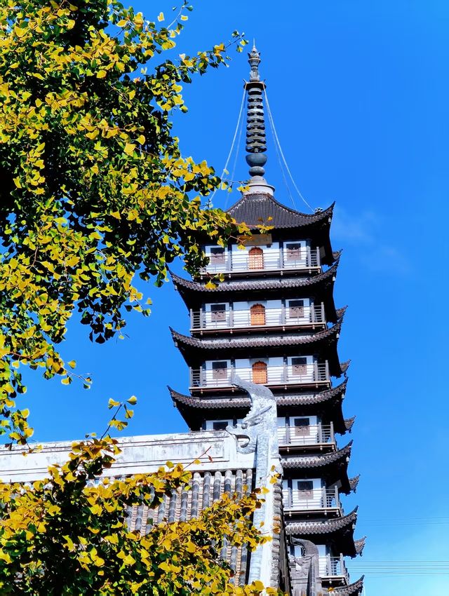 真如寺的銀杏還要等等,美味齋飯卻不用等 真如寺的銀杏還要等等,美味齋飯卻不用等