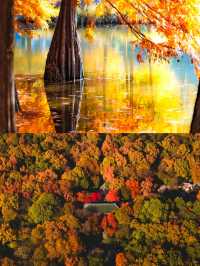 11月衝南京賞秋！18個寶藏機位+避坑指南，美到窒息