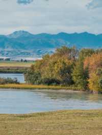 新疆昭蘇濕地：80%遊人錯過的秋日秘境，四景封神