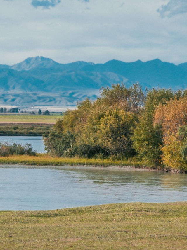 新疆昭蘇濕地：80%遊人錯過的秋日秘境，四景封神