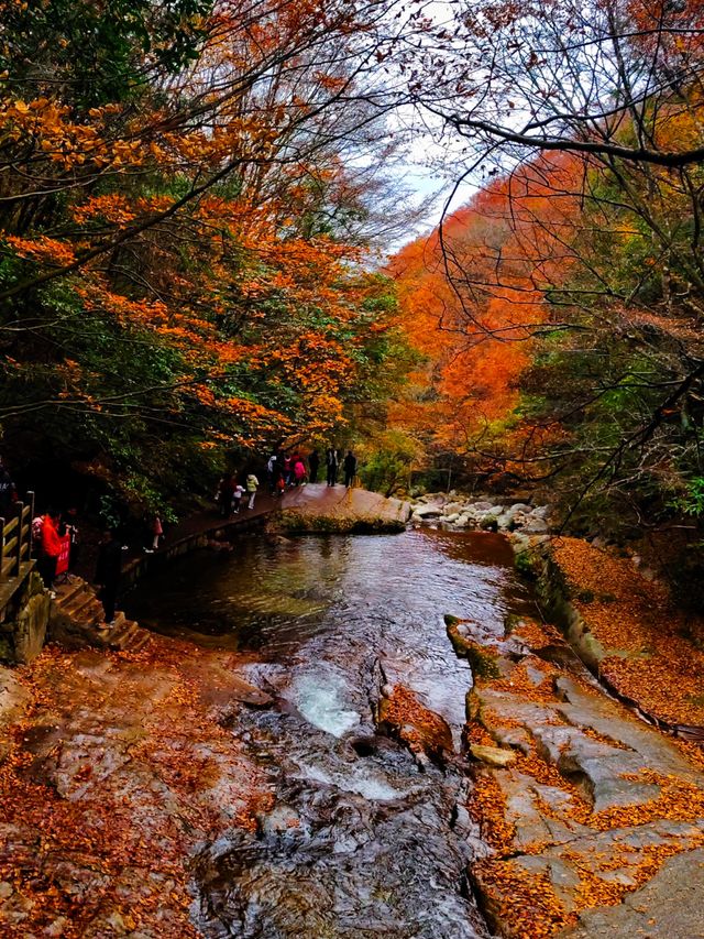 親子徒步看紅葉寶藏地，十八月潭保姆級攻略