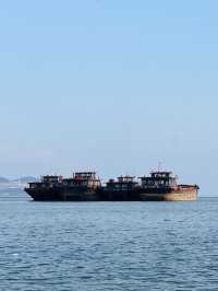 鄱陽湖落星墩攻略 枯水見草原汛期現樓閣的千年秘境