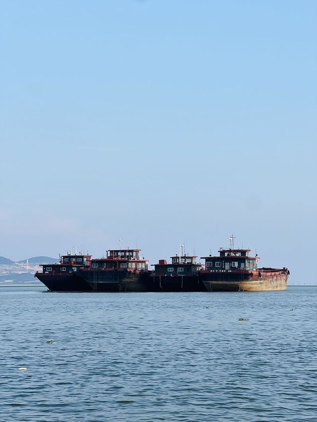 鄱陽湖落星墩攻略 枯水見草原汛期現樓閣的千年秘境